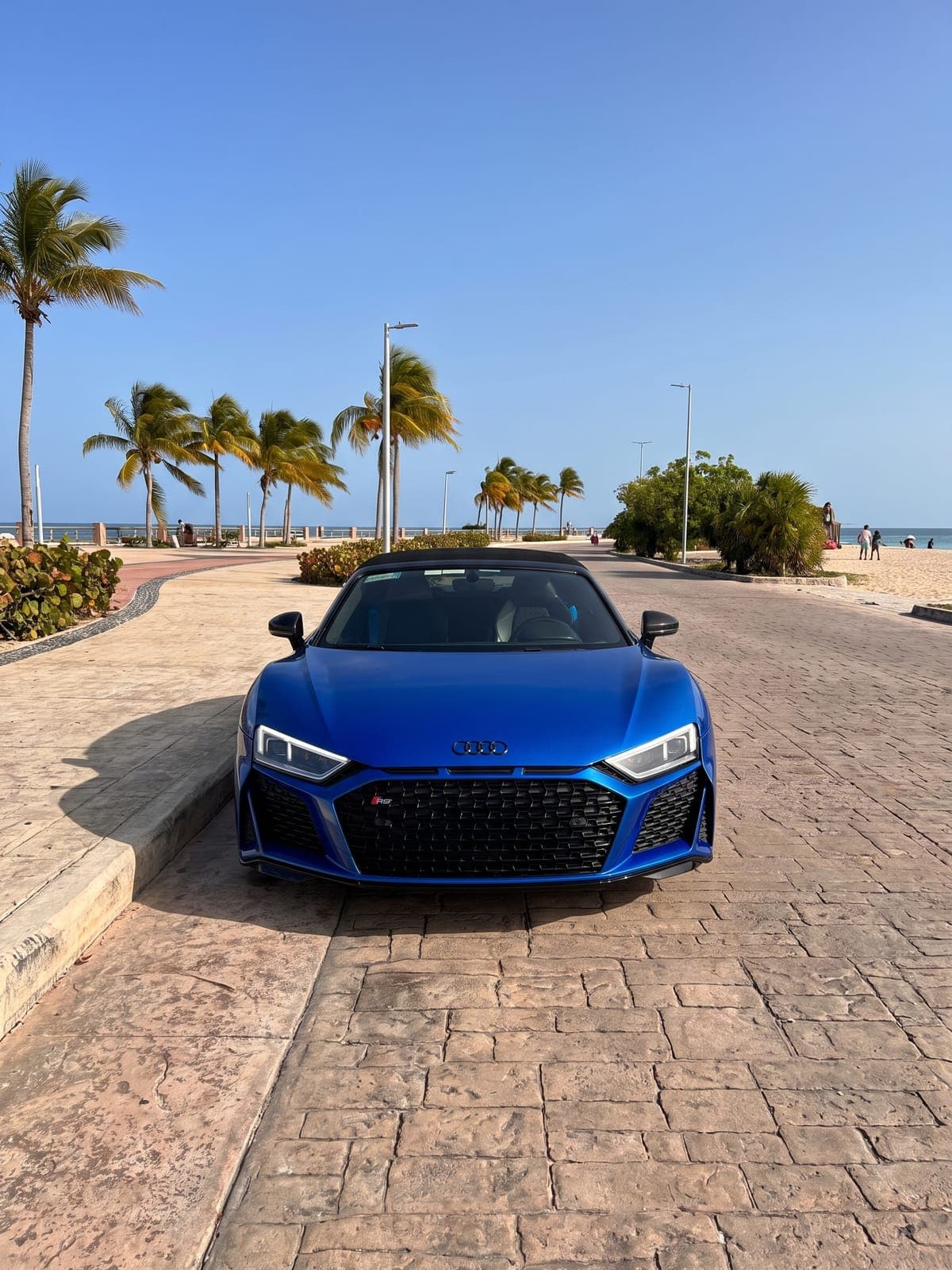 Audi R8 Spyder azul en una explanada con palmeras frente a la costa.