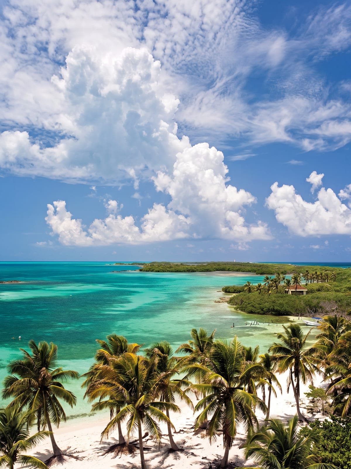 An aerial view of Isla Contoy: a strip of palm trees and a turquoise reef.