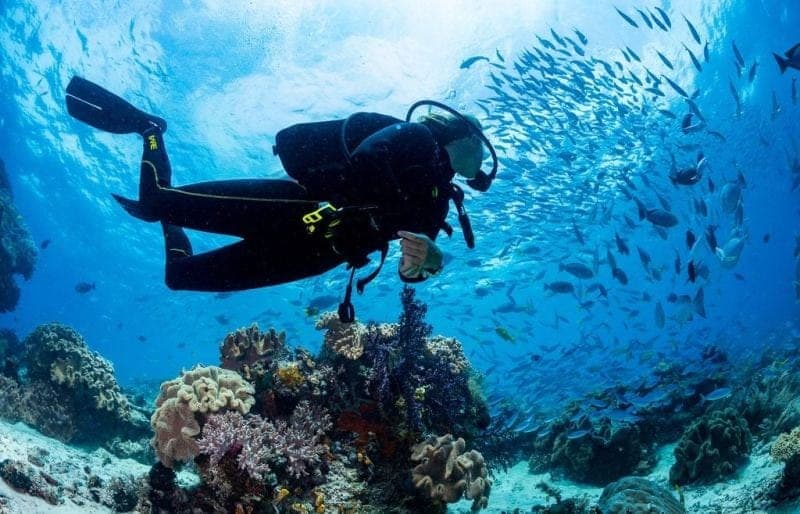 Buceo en arrecife