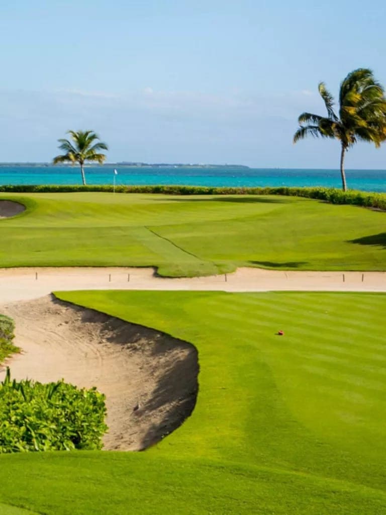 Golf · El Camaleón