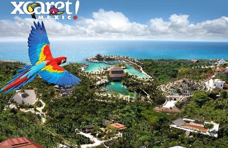 Parque de aventura