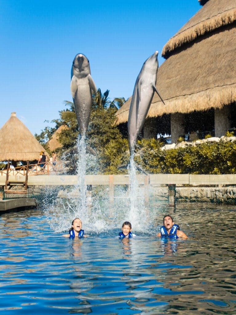 Parque de aventura