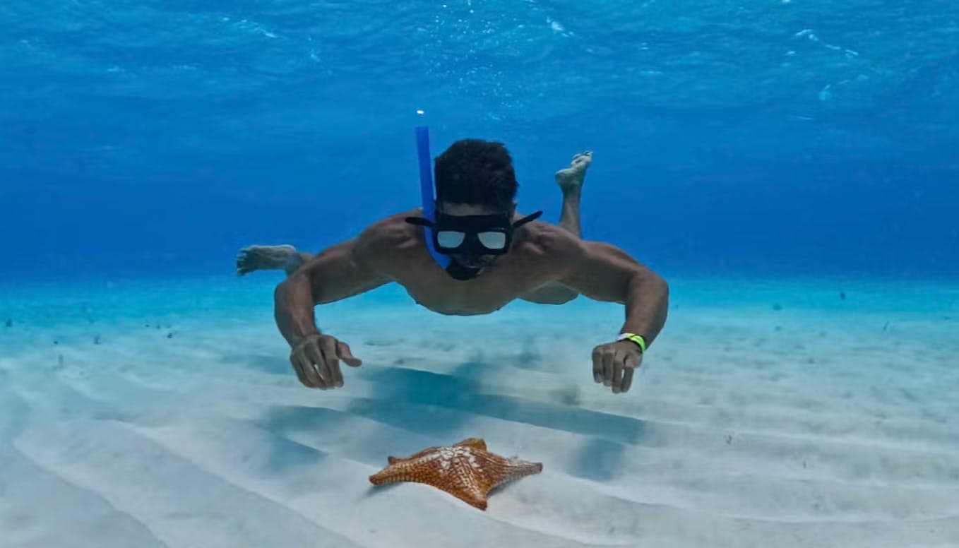 Snorkel en el arrecife