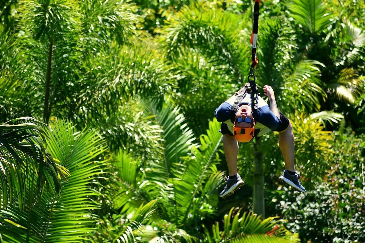 Tirolesas en la selva