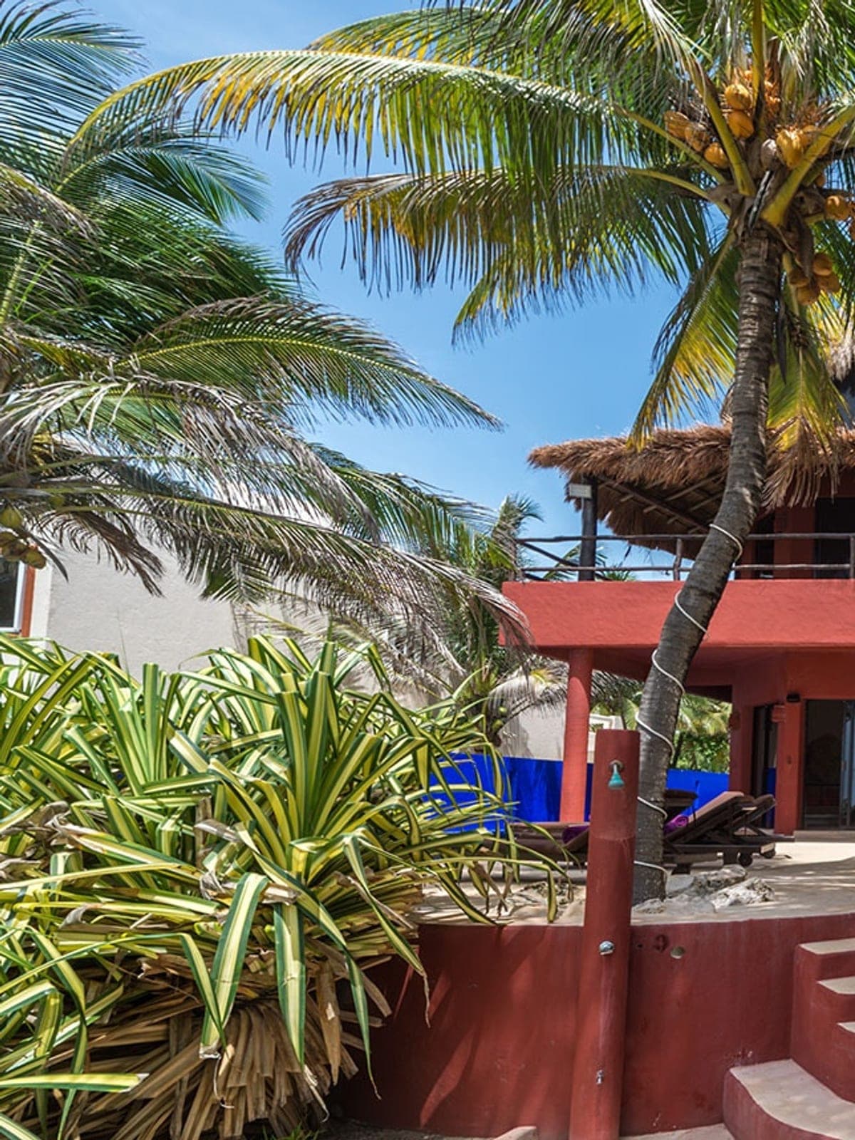 Zen del Mar, a private residence in Akumal, Riviera Maya: a coral stucco house with a pool among palm trees.