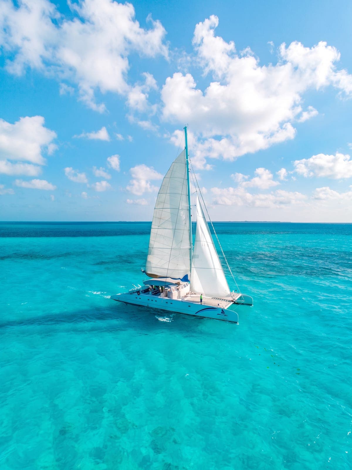 Catamarán de vela navegando bajo el sol del Caribe.