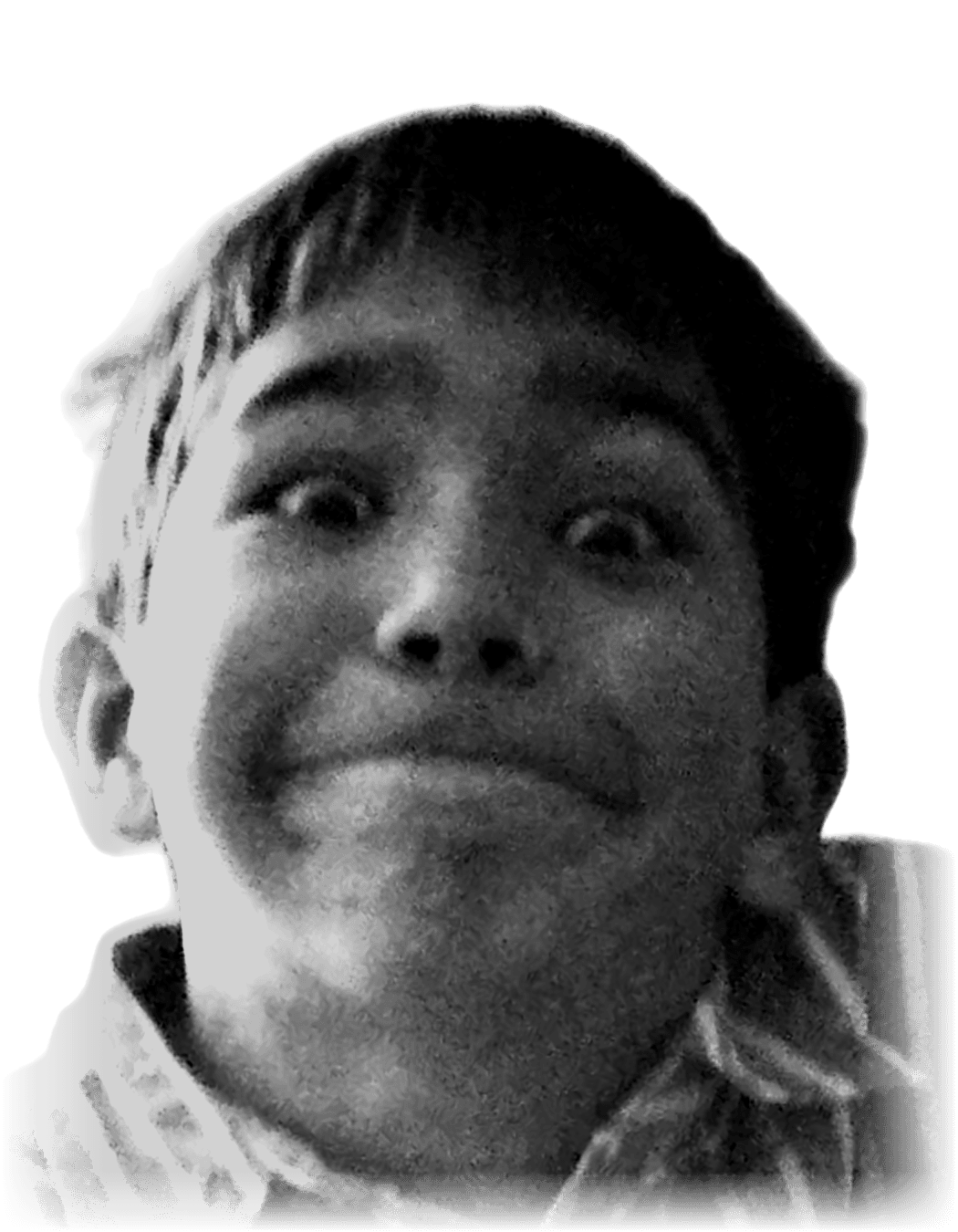 Homero, 2011