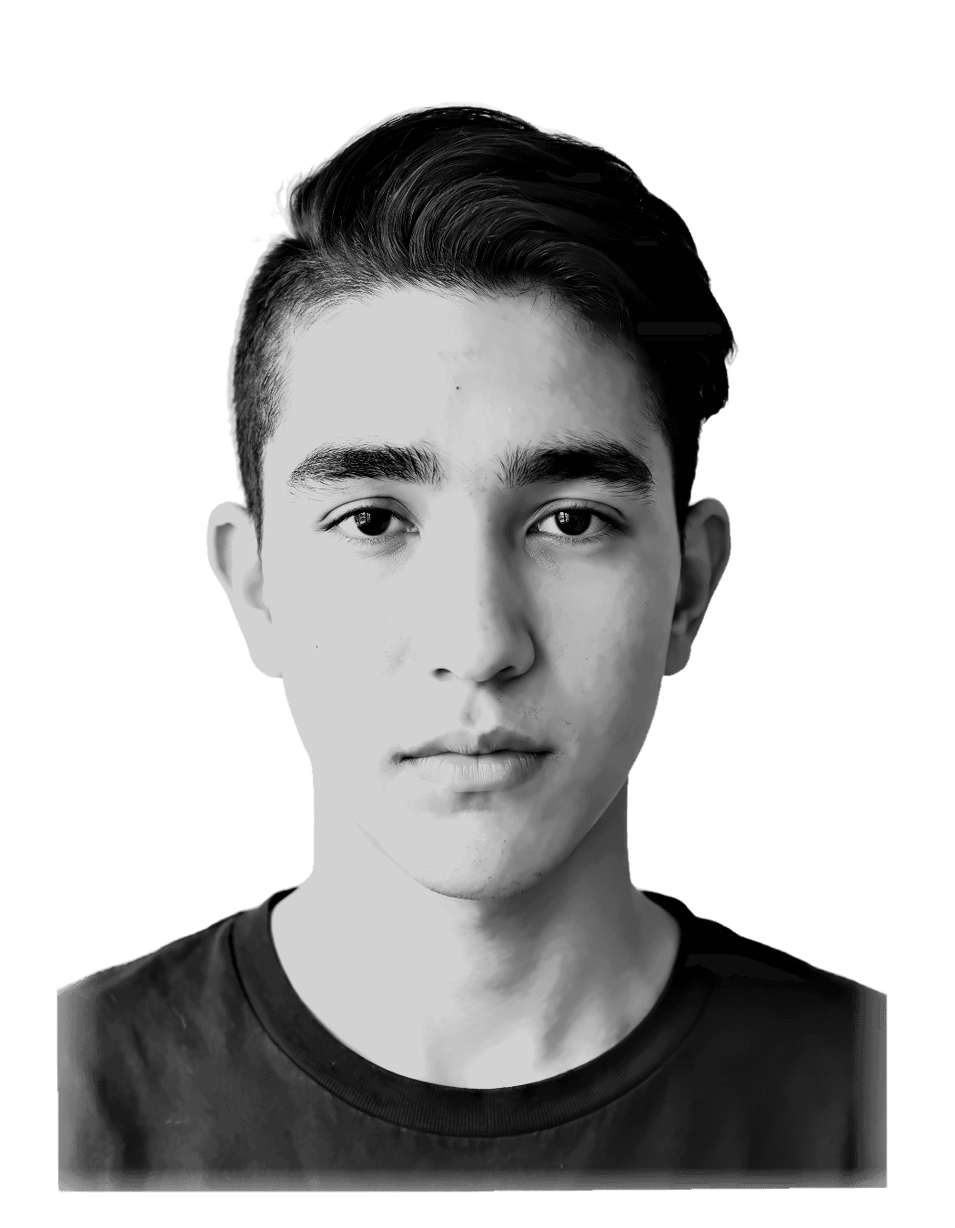Homero, 2017