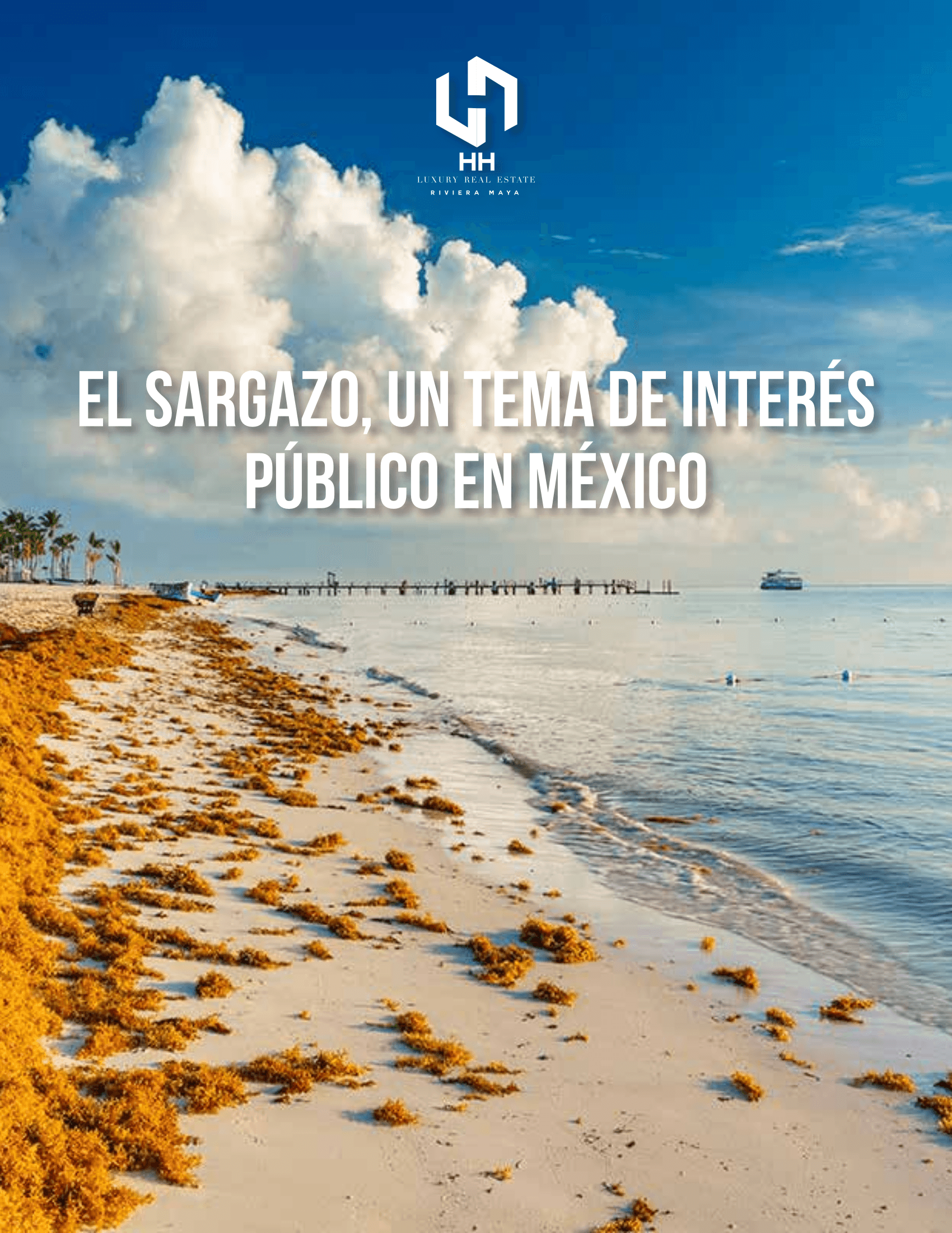 Sargazo en Riviera Maya · Lo que Necesitas Saber