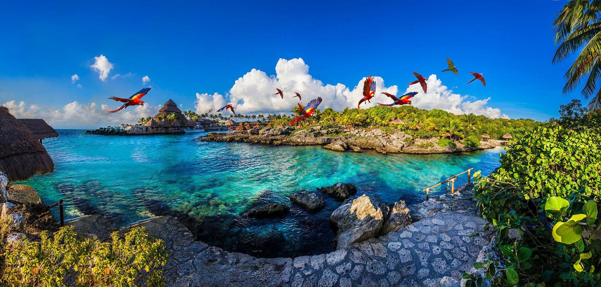 Quien es el dueño de xcaret, conoce a la mente maestra de la cual nació xcaret