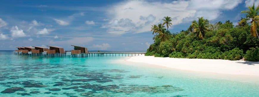 Quintana roo avanza en turismo ecofriendly