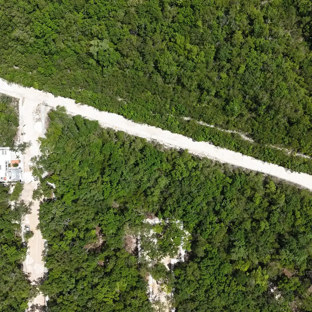 Retorno San José desde el dron: calle abierta en la selva de Tulum